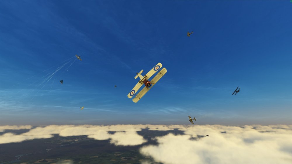 Big Furball Small 2.jpg