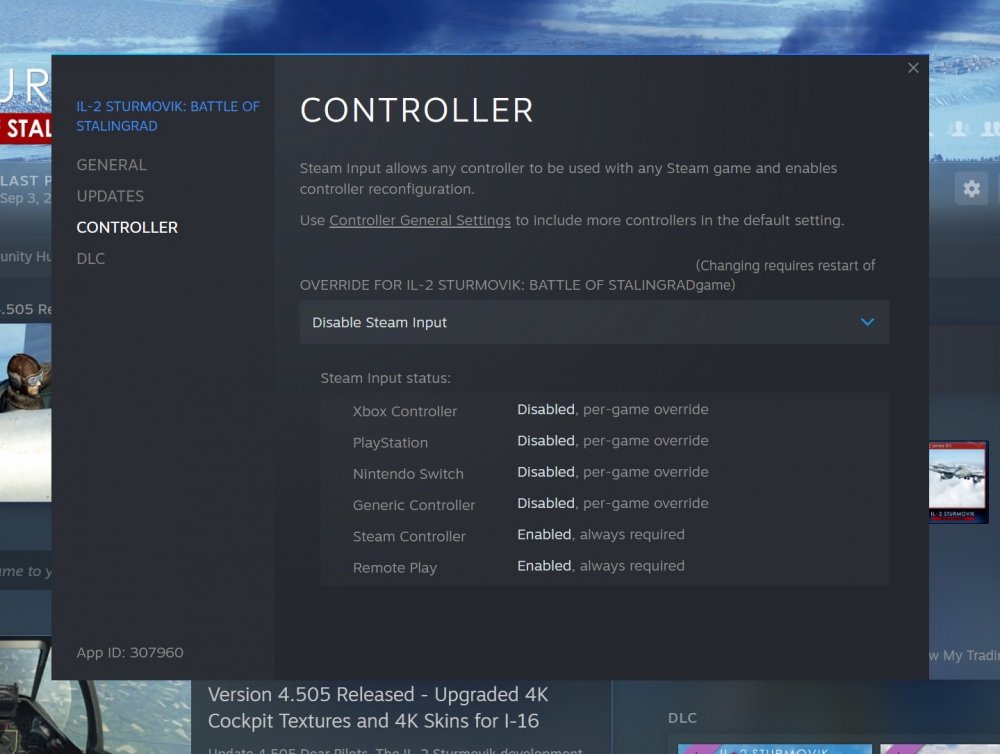 game settings new steam 01.jpg