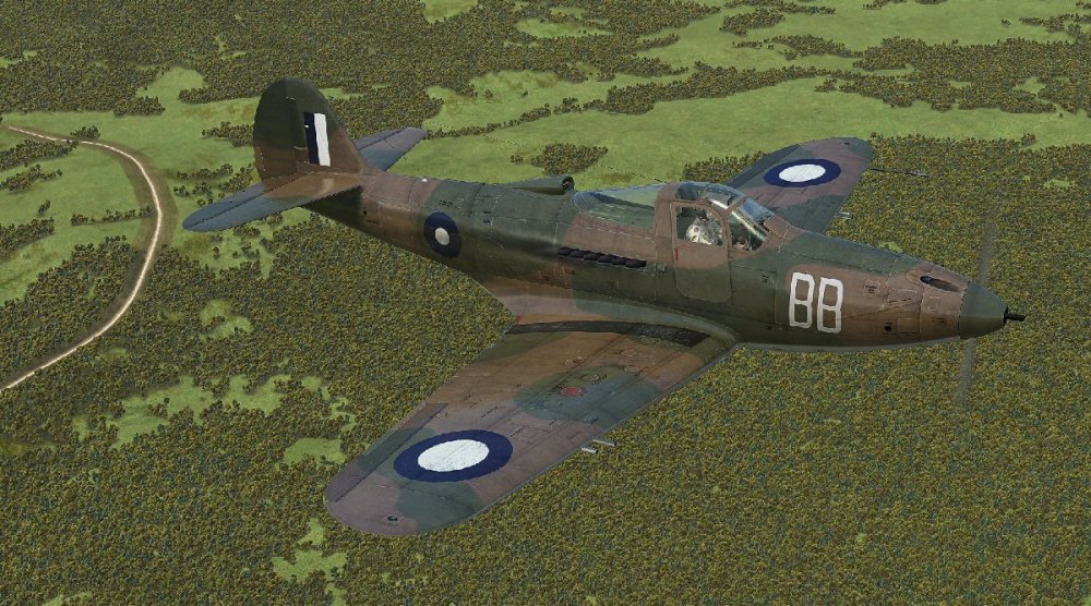 RAAF P-39D_1.jpg