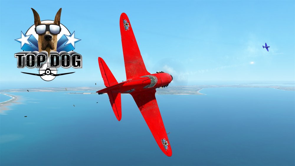 1928090842_TDdogfight.thumb.jpg.73965a408e9d940573bcda850b3164d4.jpg