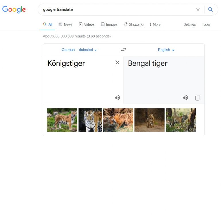Bengal Tiger.jpg