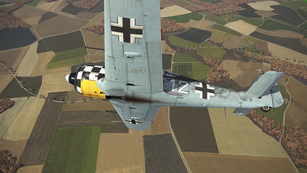 131064357_Fw-190-A6-RaFiGer(2).thumb.jpg.bb21f5a87589de5c2fbf71dd0a0f583a.jpg