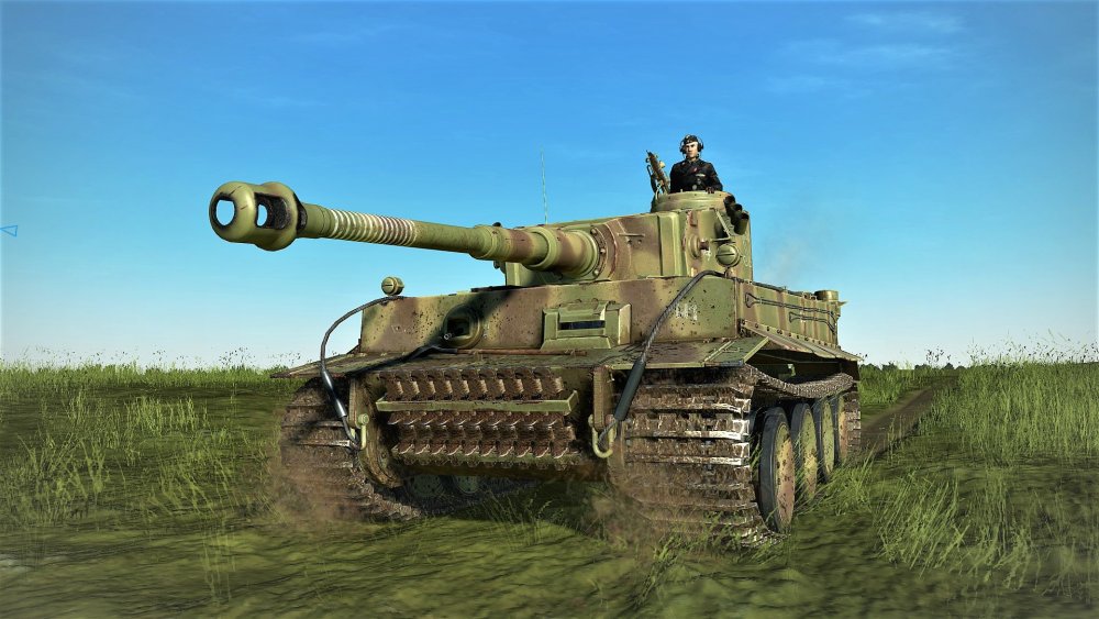 advancing tiger.jpg
