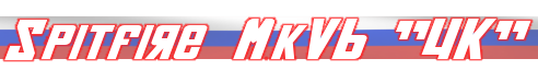 1826127280_SpitfireMkVbRussia.png.53cc603f5a081923f40b2cd95972a034.png