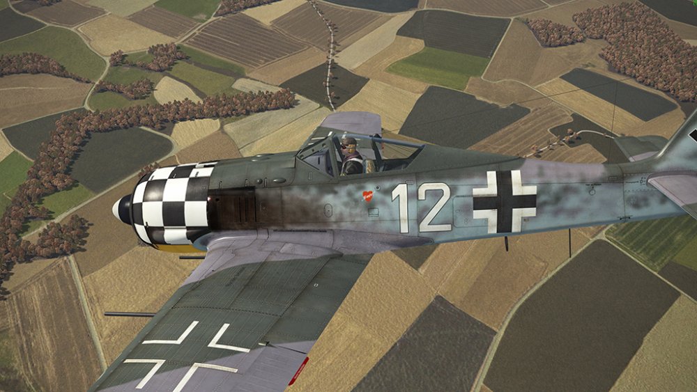 314880913_Fw-190-A6-RaFiGer(1).thumb.jpg.93426f9984e86337e9d3eef1f9440fe3.jpg