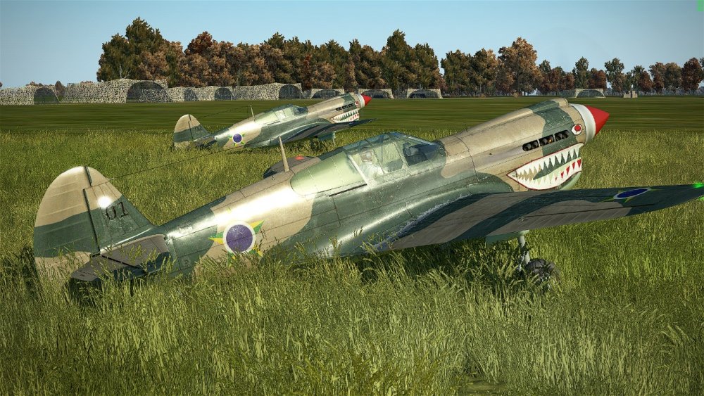 P-40E 02.jpeg