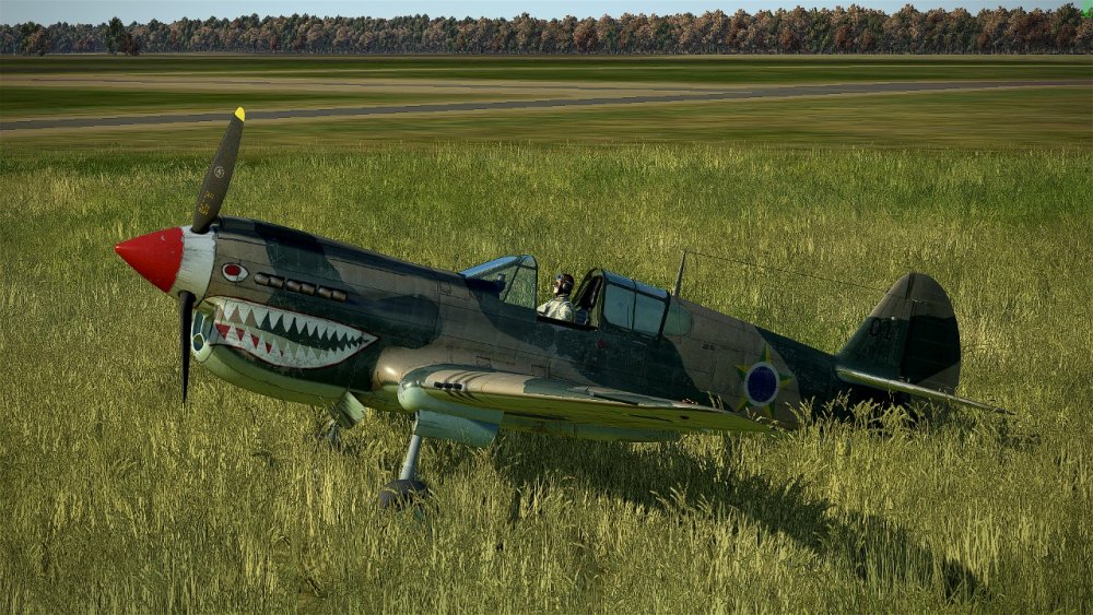 P-40E 01.jpeg