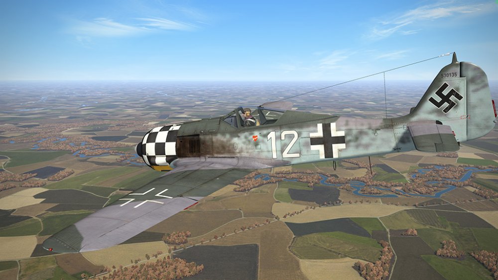 996451886_Fw-190-A6-RaFiGer(4).thumb.jpg.38bd668ec03d7a59a7f85936cc67ebbb.jpg