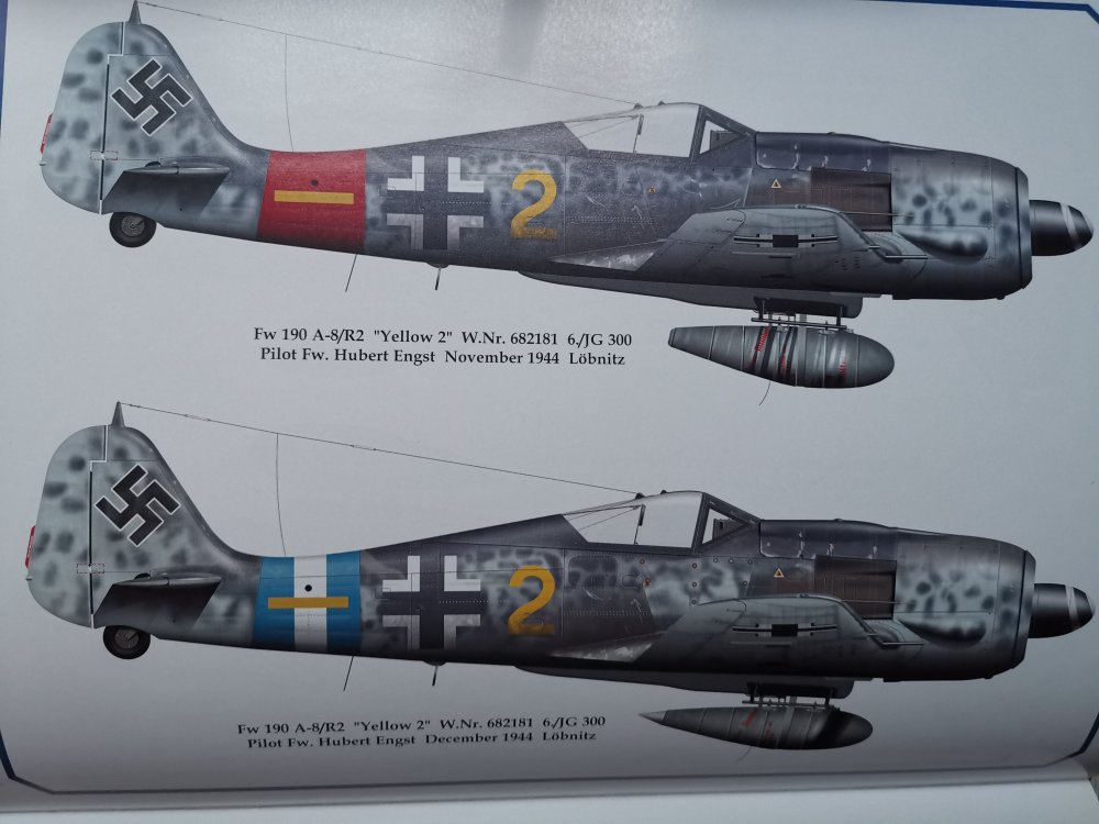 Hubert-Engst-Fw-190A8.thumb.jpg.7a37b149dec232ab26fd8d973d75925c.jpg