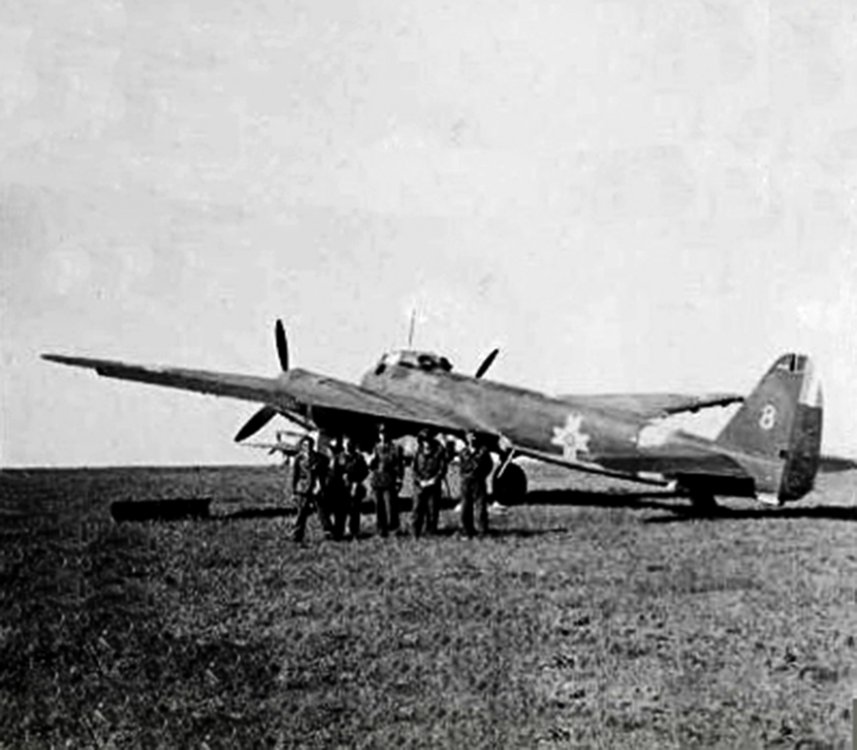 Junkers-Ju-88D1-RRAF-2-Long-Range-Recon-Sqn-8-Russia-June-1943-01.jpg