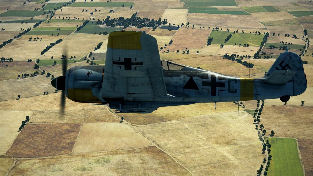 Fw190A5 - SchG1 Kuban spring 43 ----.jpg