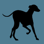 schwarzerHund