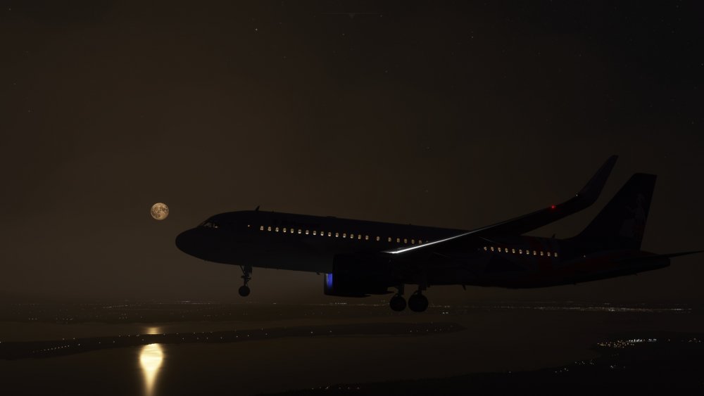 FlightSimulator 2021-01-29 01-47-59.jpg