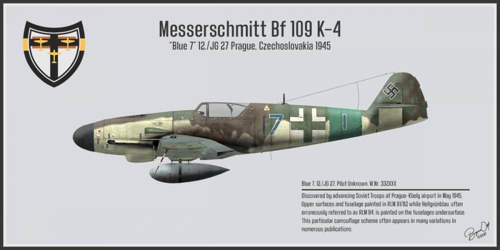 256563619_Bf109Profile3.thumb.png.1b994888da6d090ee8463dff92b08fc4.png
