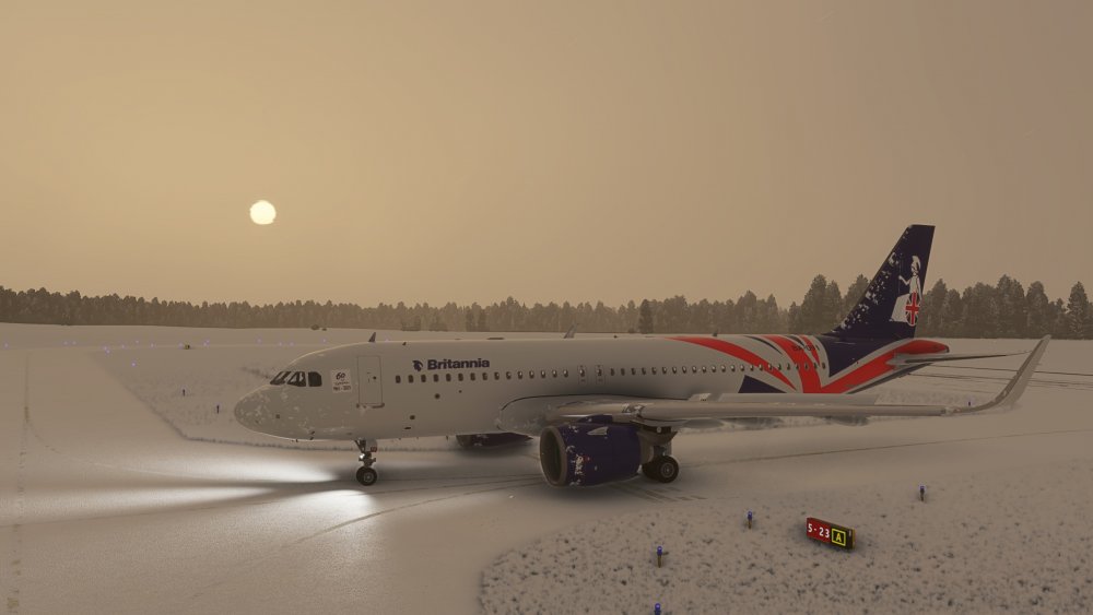 FlightSimulator 2021-01-31 22-25-57.jpg