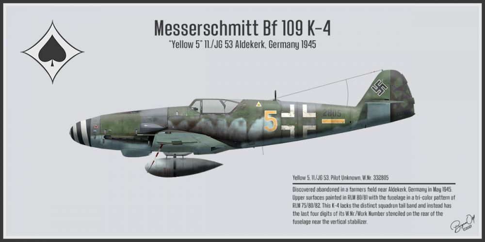 759966194_Bf109Profile2.thumb.png.75e9c0f9c89d41836bb3312f79adaf7d.png