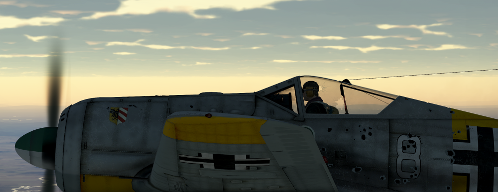 Short back and Sides.png