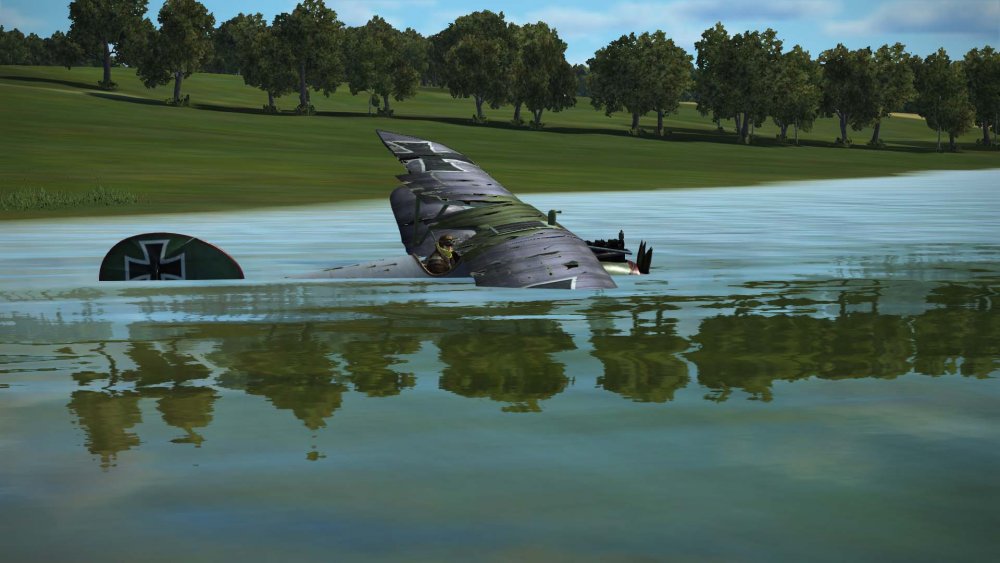 A Water Landing.jpg