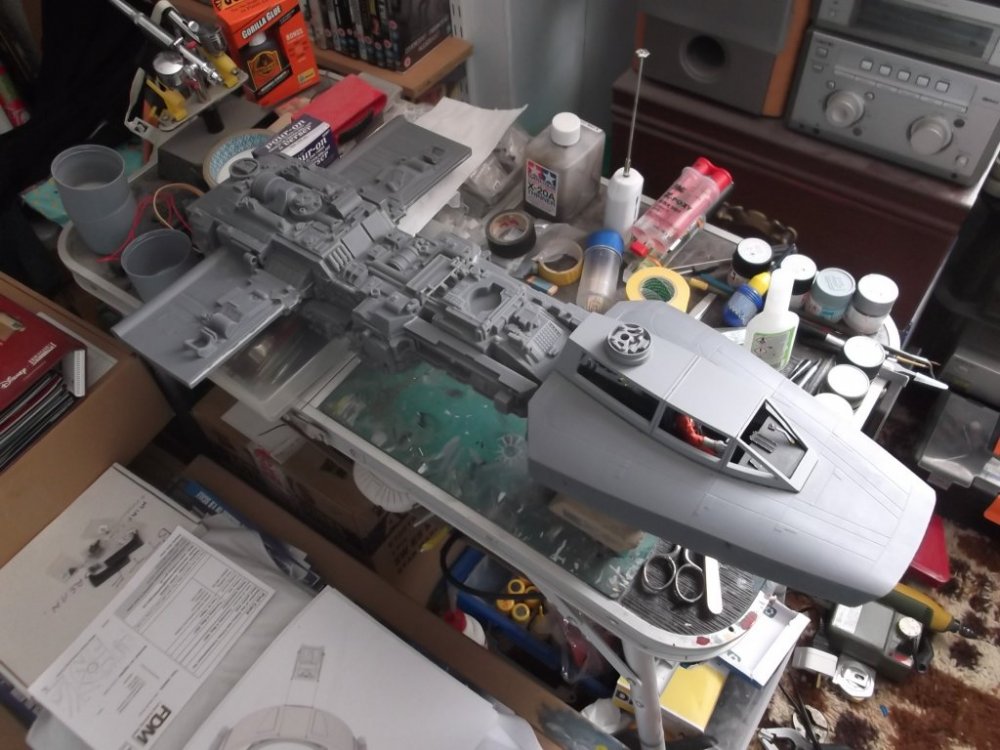 1;18th Y wing 13.JPG