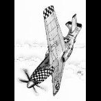 FlapTrack