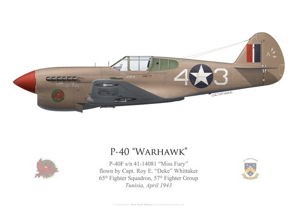 p-40f-warhawk-miss-fury-capt-roy-whittaker-65th-fs-57th-fg-tunisia-1943.jpg.20dfbae0de7d2ebf48ee18e366a7b3e3.jpg