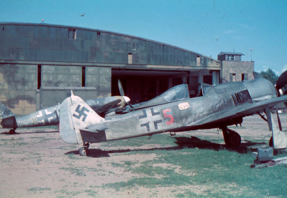 1945-PW-DUXFORD-GERMAN-FW-190-ME-109.thumb.jpg.6bfb92979e364e6b432eddc119556cd4.jpg