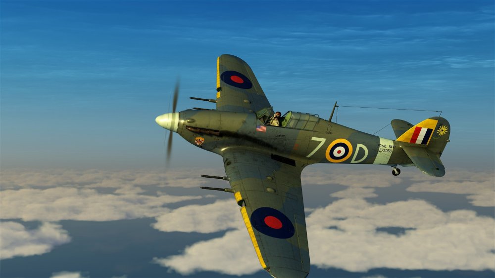 Duke_Sea_Hurri big.jpg