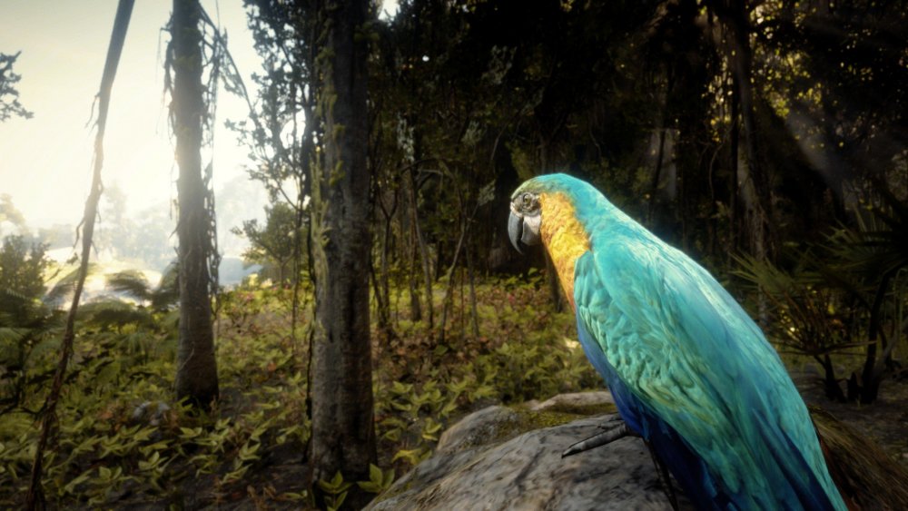 0_0 - 2021-07-28T162005.923.jpg