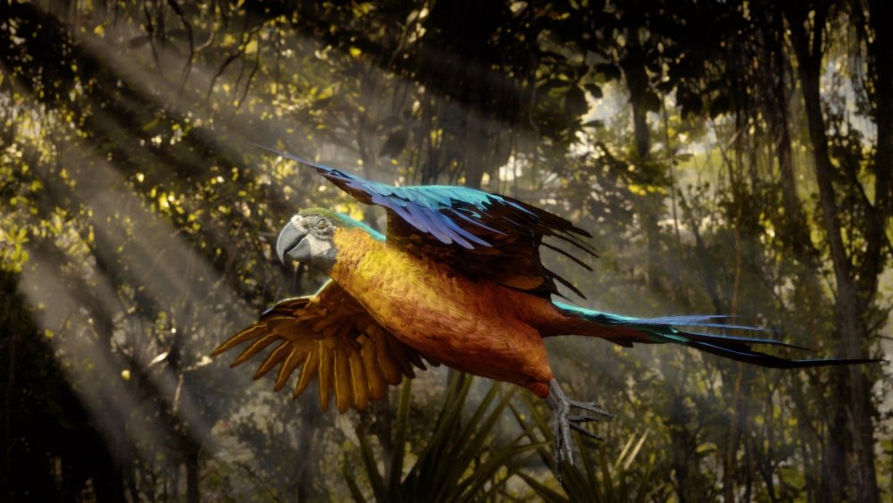 0_0 - 2021-07-28T162010.475.jpg