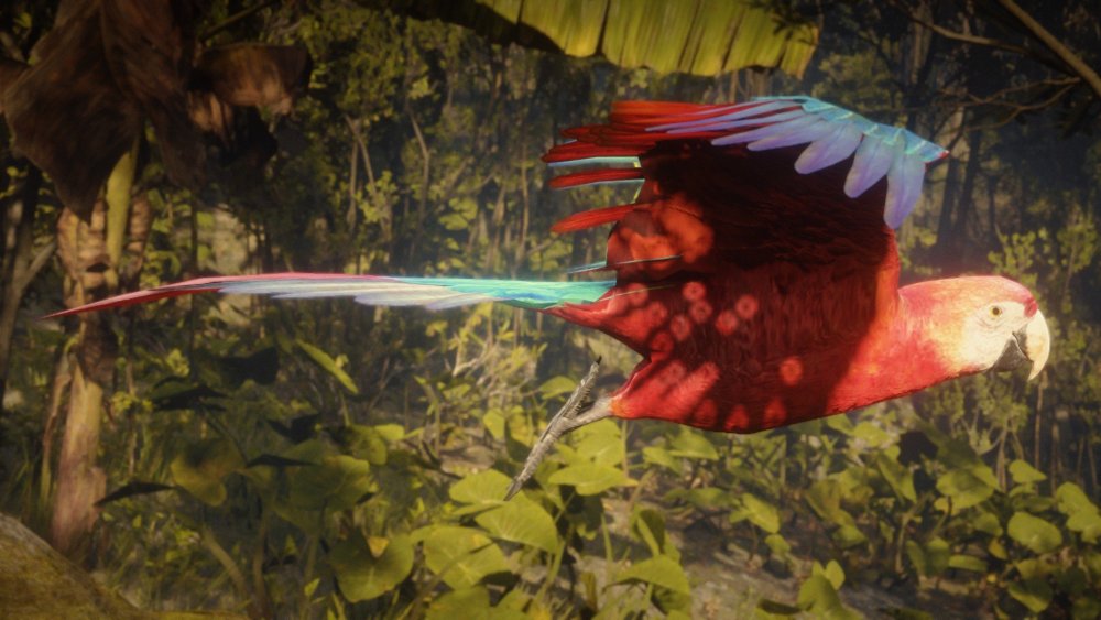 0_0 - 2021-07-28T162001.615.jpg