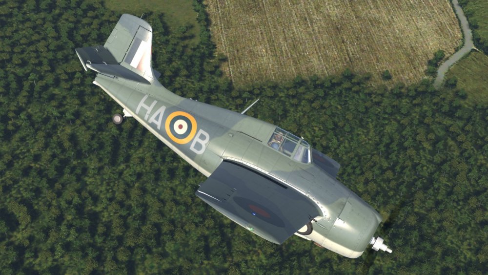 RAF current code.jpg