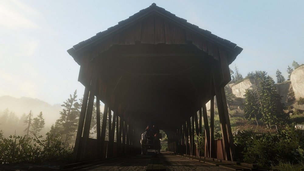 RDR2_24.thumb.jpg.2dd3f1a70ede10ba0612cb26aca05054.jpg