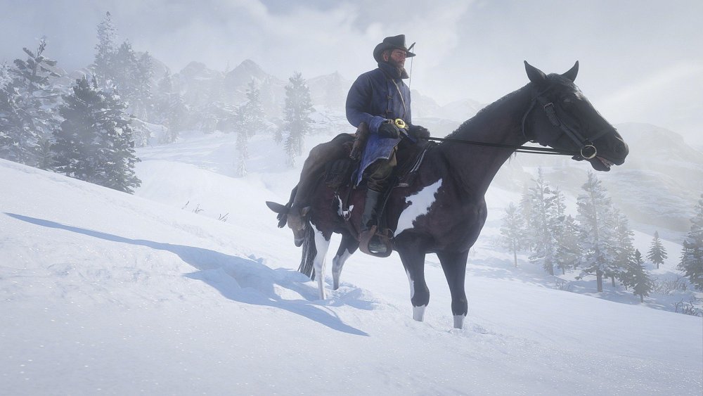 RDR2_6.thumb.jpg.4a523459ac6d92f3d85424cf88314c21.jpg