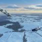 dino_soars