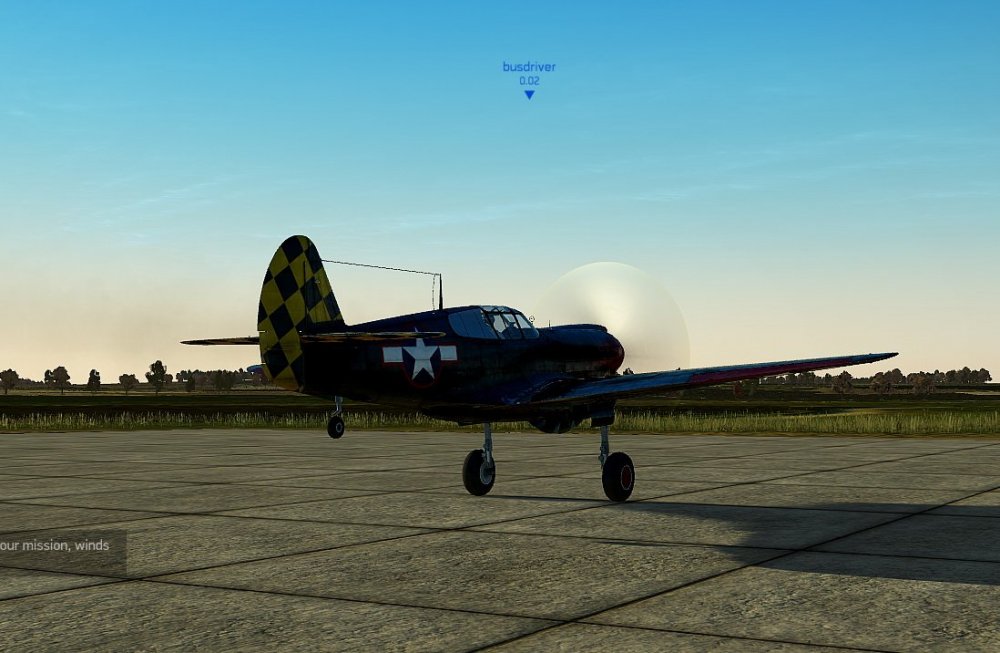 1356035192_P-40takeoff04.thumb.jpg.d9fe181b125d9f8645bee59a5a5781f2.jpg