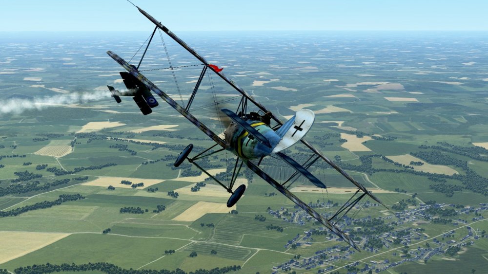 Pfalz action 2.jpg