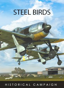 Steel_Birds_English.jpg