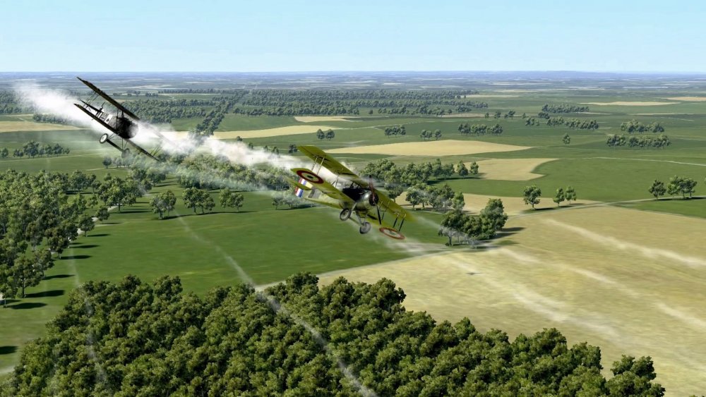 Fokker DVII 1.jpg