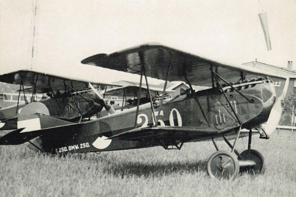 Fokker DVII.png