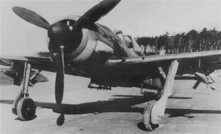 FW190-A8-1f-s.jpg.d2bfb24437f38eb166847d38e6b48dc9.jpg