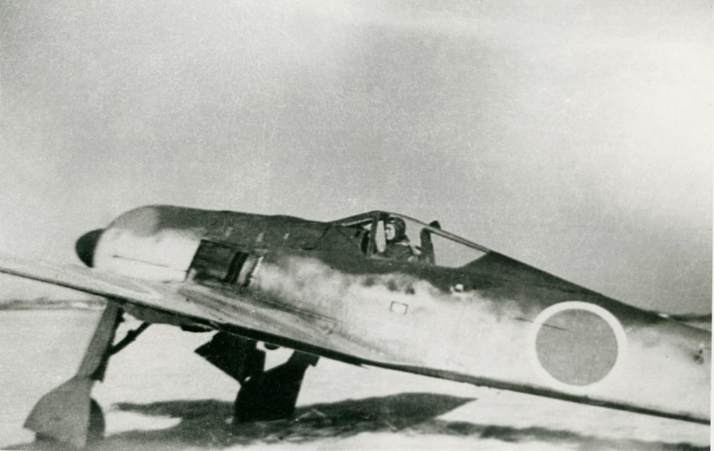 JapaneseFw190.jpg