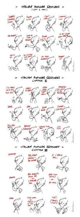 italiangestures-aquickguidetoitaliangesturescreditstoalfredo_2c9143_3513038.jpg