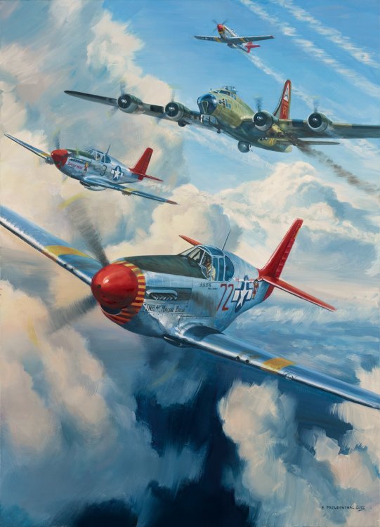 tuskegee_airmen_mustang_p51c.jpg