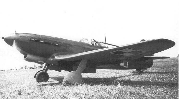 yak9m-2.jpg.2ca4e330773f13dd92ef976be28c6f42.jpg