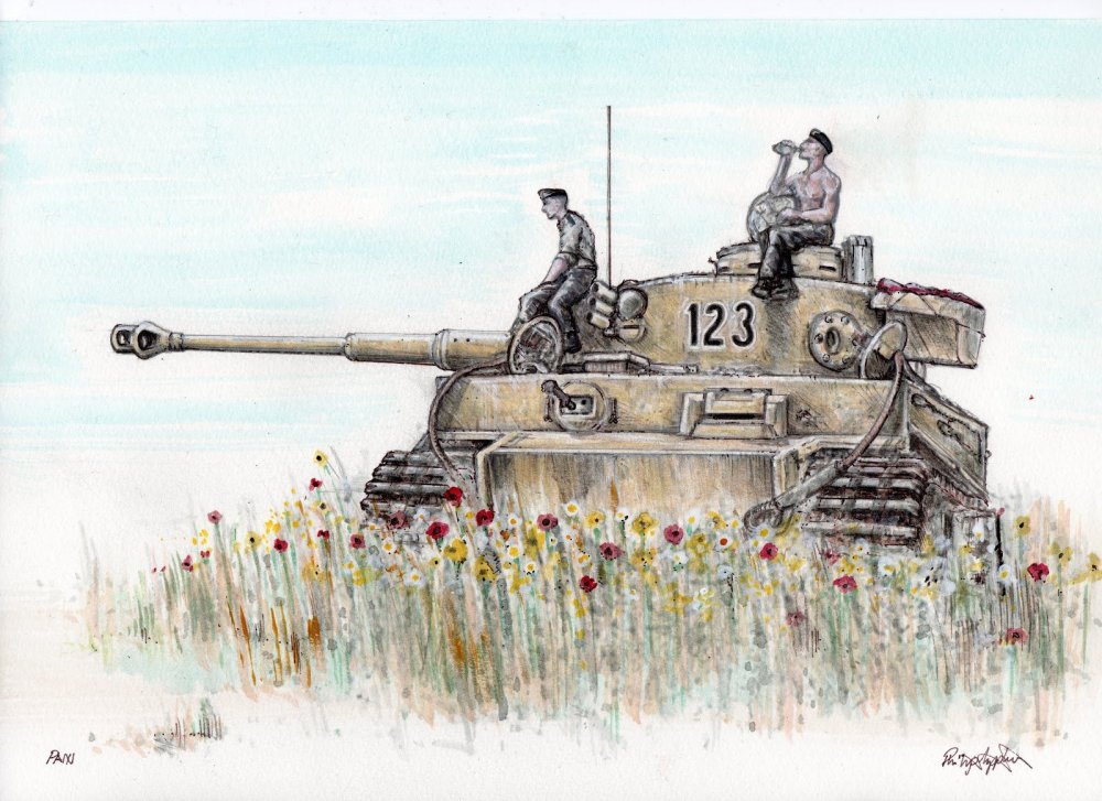 Tiger 123 colour Philip Appleyard.jpg