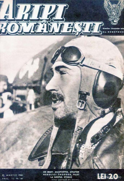 Aripi-Romanesti-GF-53 (1).jpg