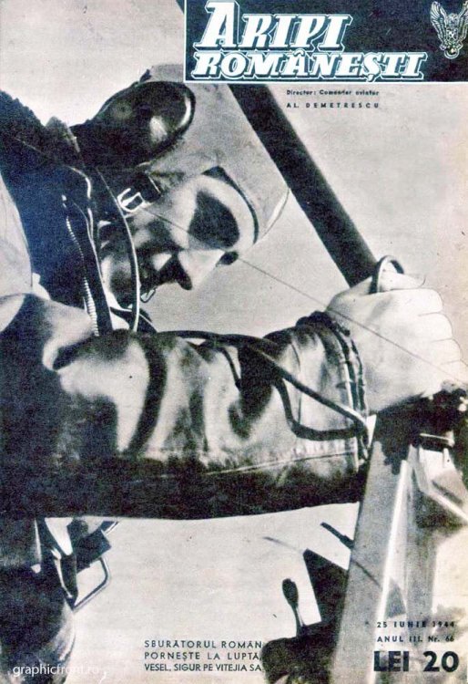 Aripi-Romanesti-GF-61 (1).jpg