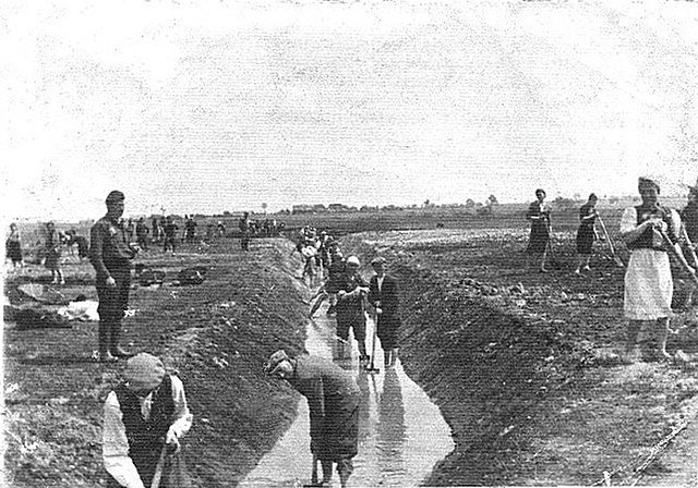 184539778_640px-Krychw_forced_labour_camp_1940_(Krowie_Bagno).jpg.ce3cc2aa7a36368c65f27d0301b02696.jpg