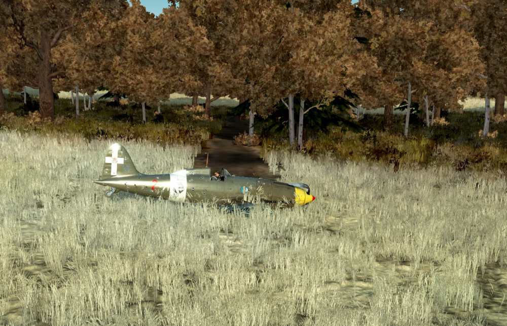 Macchi Lucky Escape.png