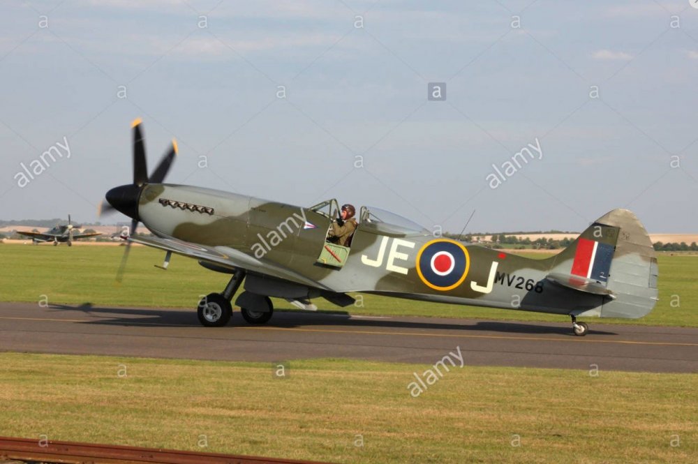 Screenshot 2021-10-04 060052.jpg